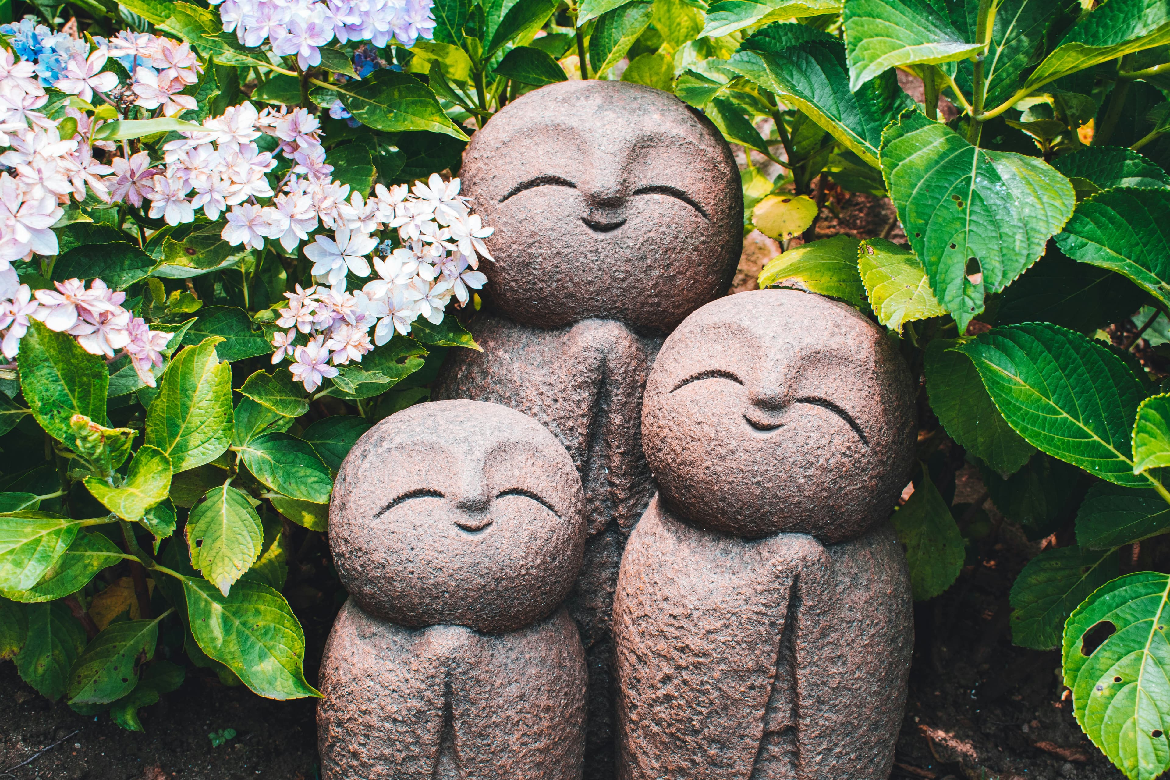 Three smiling stone Jizo statues praying amidst blooming hydrangeas and vibrant green garden leaves.